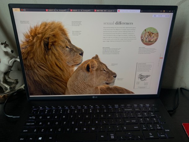 ��������ģ�K