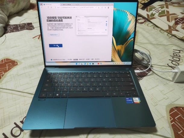 �t������ؿ�